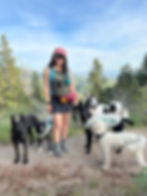 hiker with multiple dogs on trail