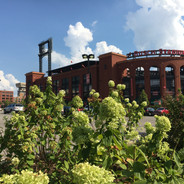 IMG_2476.JPG