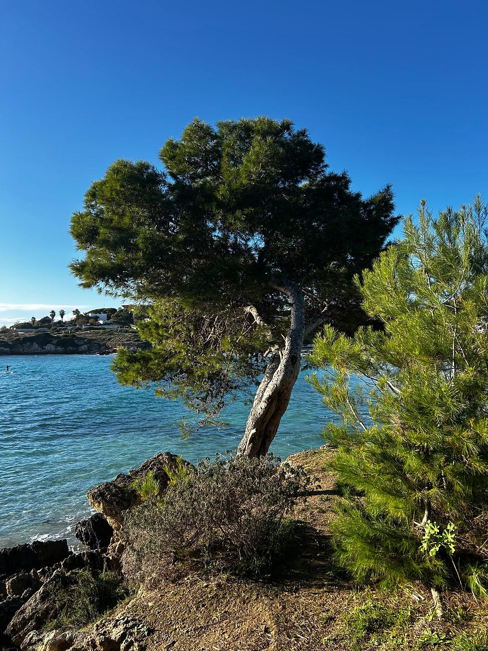 WhatsApp Image 2026-03-01 at 21.04.31.jpeg