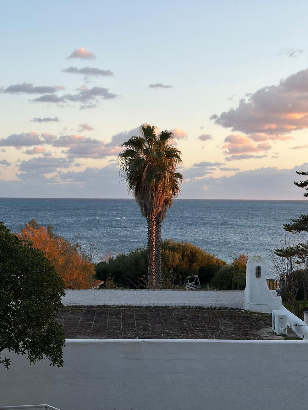 WhatsApp Image 2026-01-30 at 13.09.29 (1).jpeg