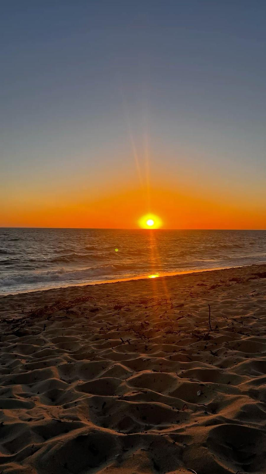 WhatsApp Image 2026-03-01 at 22.44.43.jpeg