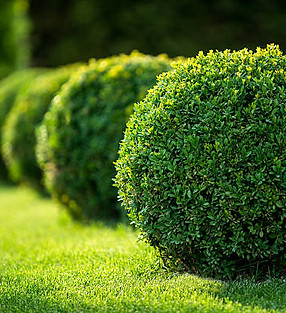 istockphoto-493238552-612x612.jpg