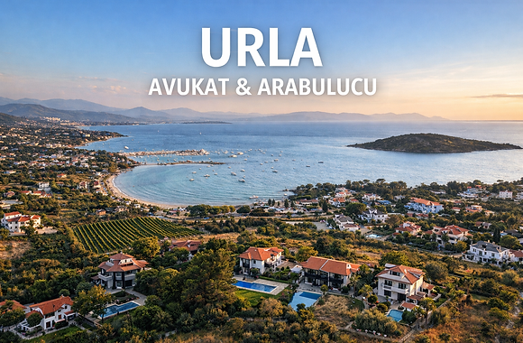 ChatGPT Image 31 Mar 2026 16_59_41.png