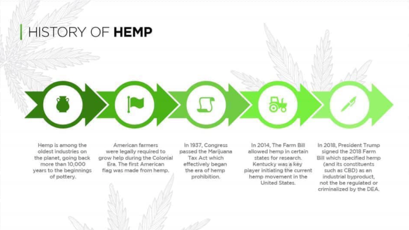 A history of Hemp diagram for a informational blog about Hempworx CBD and CBG products