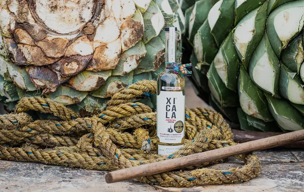 mezcal.webp
