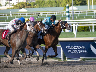 Gulfstream Park Racetrack