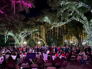 Flamingo Gardens Winter Wonderland