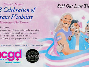 Trans Visibilty Day Local