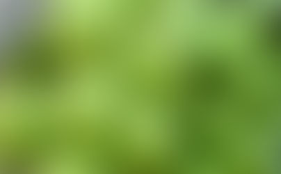 All You Need to Know About Green Coconut