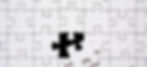 puzzle pieces .jpg