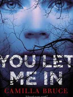 Review of You Let Me In