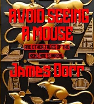 Review of Avoid Seeing A Mouse