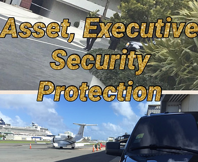 Executive Protection Transportation Logistics - CALL FOR QUOTE