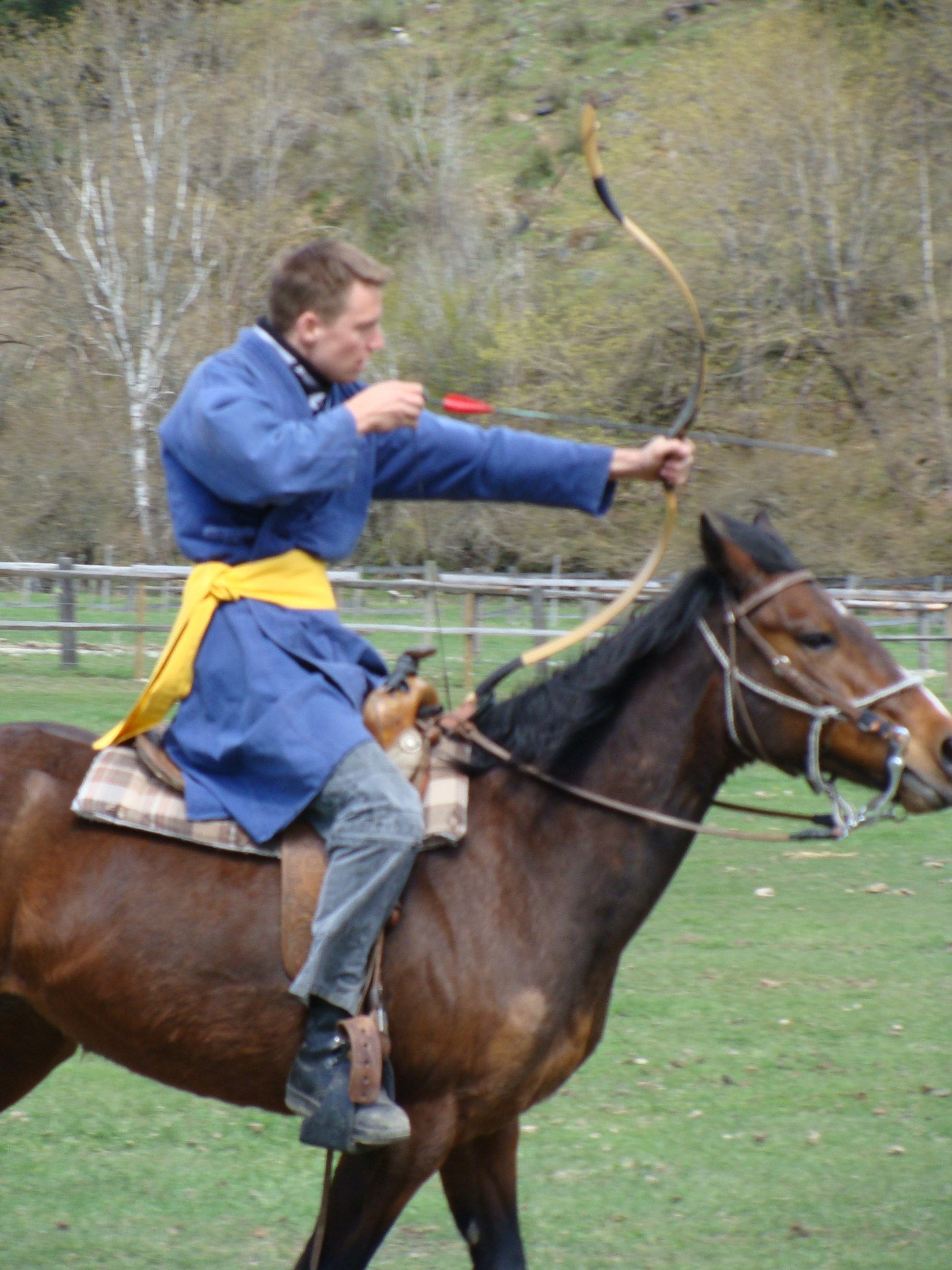 DSC09960 copy