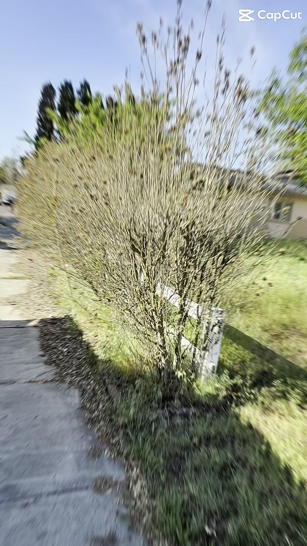 188917D7-2F1F-45DB-AD2B-09283E48333E.mov