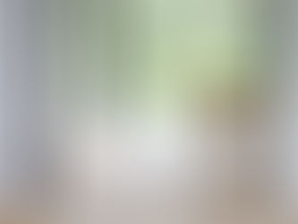 Parquet, plancher ou mélaminé?