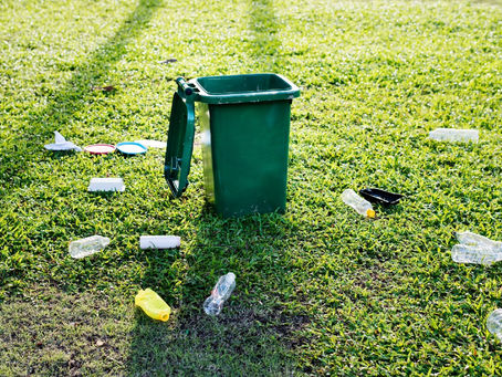 From Yard to Compost: Efficient Methods for Green Waste Removal