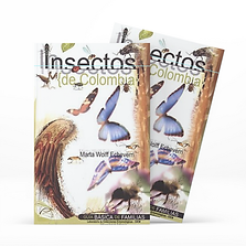 mockup-featuring-two-softcover-books-pla