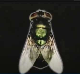 Captura de pantalla 2024-02-12 a la(s) 2.11.46 p. m..png