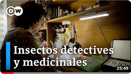 Captura de pantalla 2024-02-12 a la(s) 2.58.24 p. m..png
