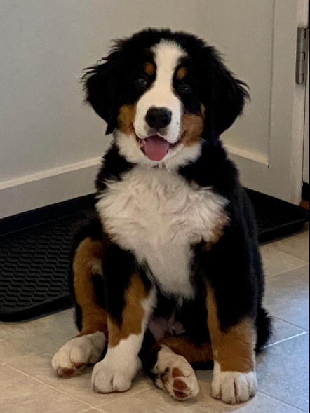 Baker... he's 3 months old