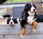 Ally n Alexi September 2021.jpg