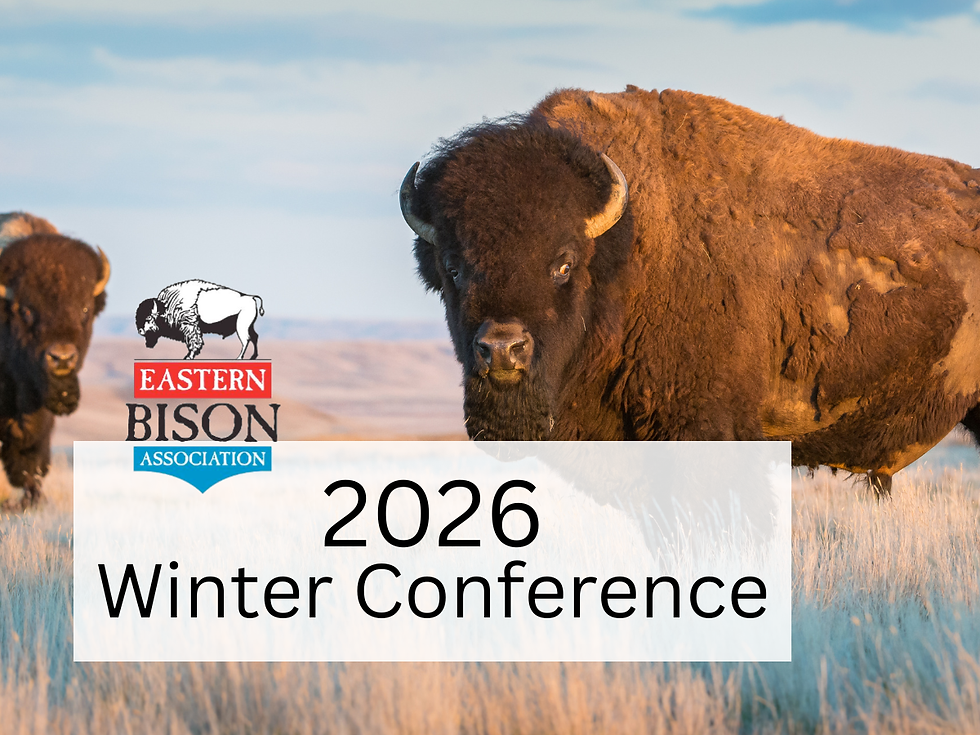2026 Winter Conference