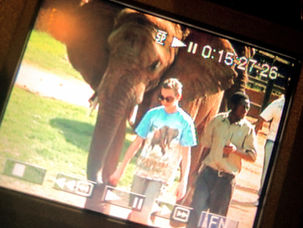 Dream Safari Trip: South Africa