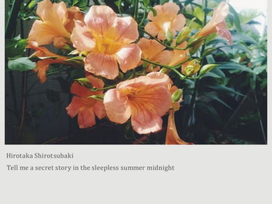 Album artwork of Hirotaka Shirotsubaki's Tell me a secret story in the sleepless summer midnight.