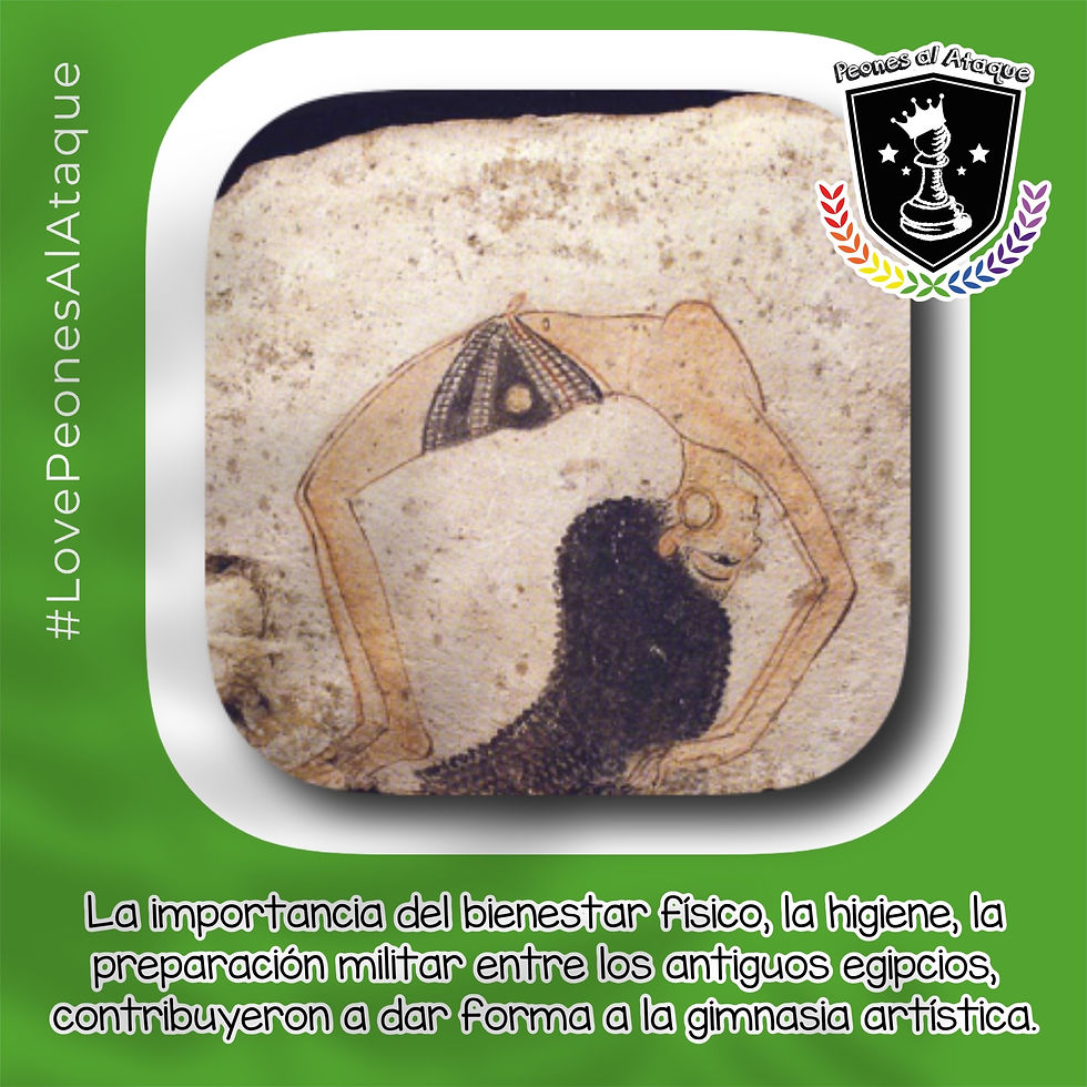 Las representaciones artísticas, como relieves y pinturas en tumbas y templos, sugieren la presencia de actividades físicas que podrían aludir a ejercicios gimnásticos. La importancia del bienestar físico y la higiene entre los antiguos egipcios, así como la preparación militar necesaria para el ejército, podrían haber contribuido a alguna forma rudimentaria de ejercicio.