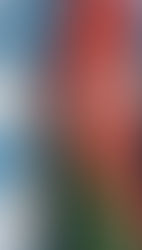 اصالت ترکی چیست؟ ارزیابی از نظر اجازه کار