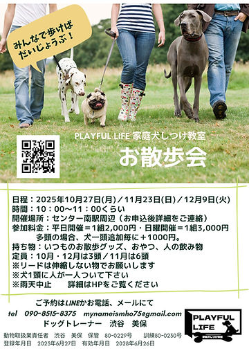 202510お散歩会 (1).jpg