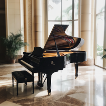 Musique de piano live à l'hôtel Alexander