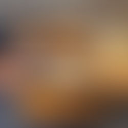 Neue Gänge im Hotel Alexander Weggis