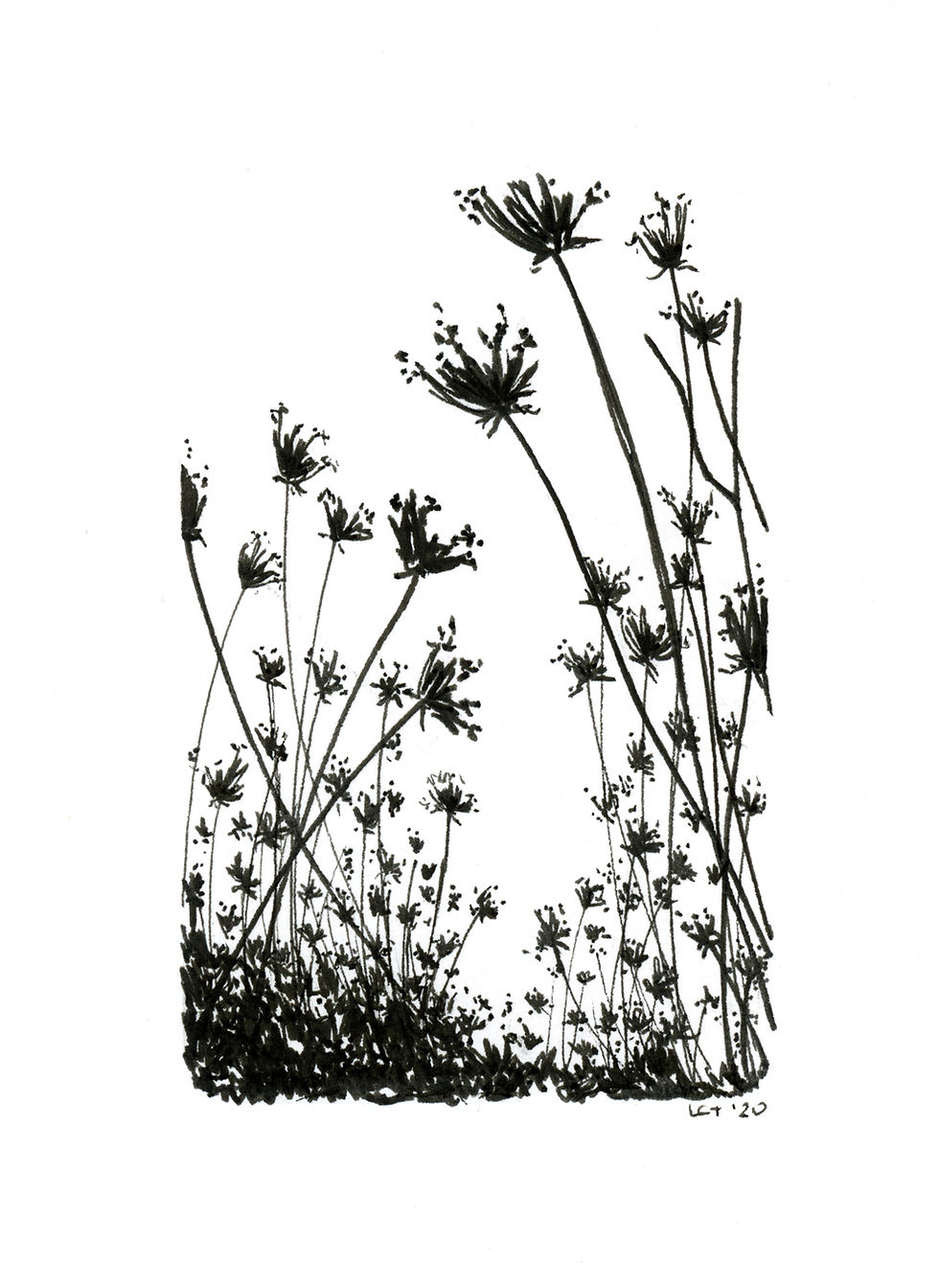 Thumbnail: Meadow Cards