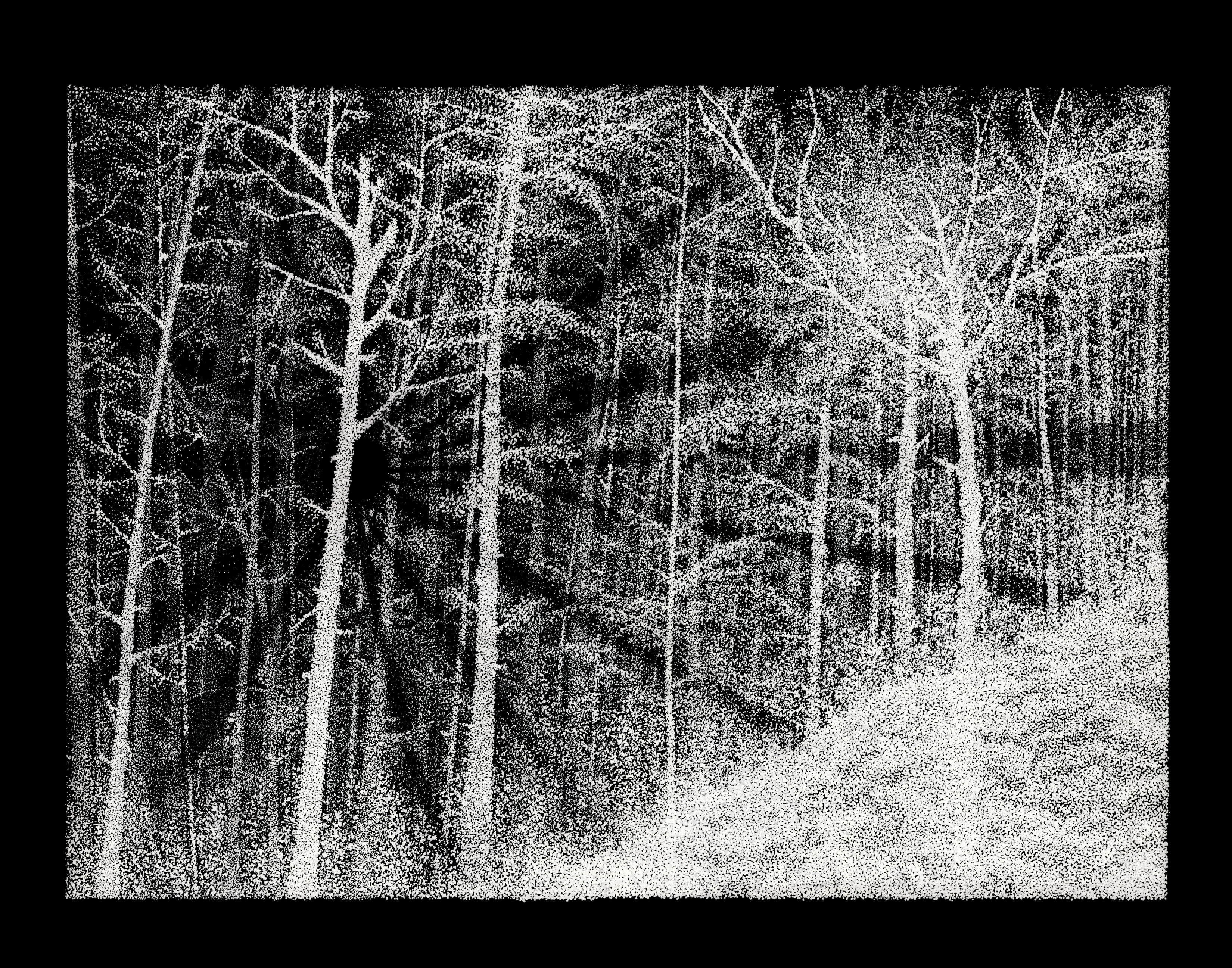 It's the Light (prints)