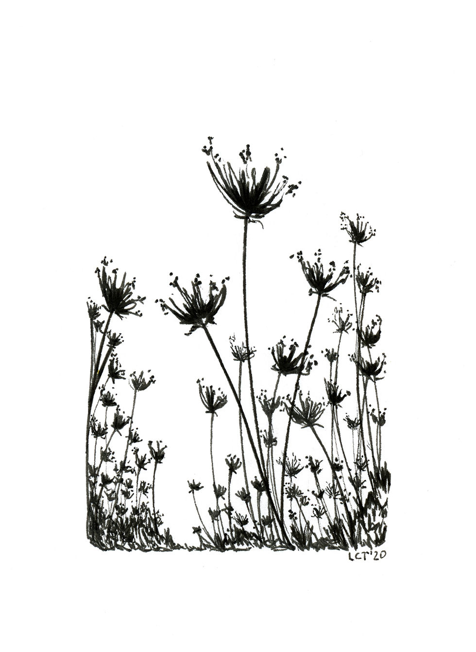 Thumbnail: Meadow Cards