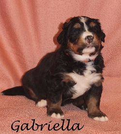 gabriella 4 weken.jpg