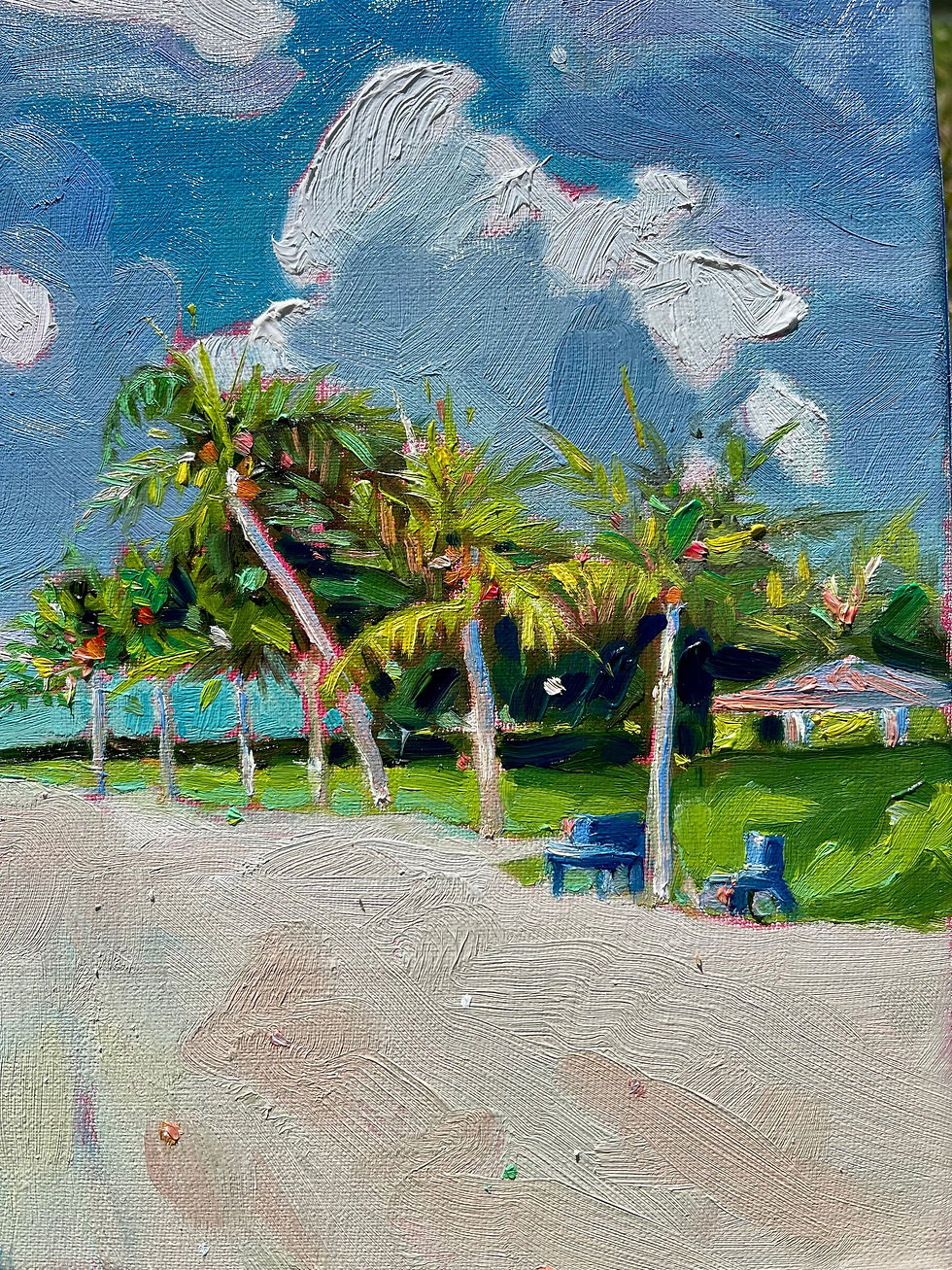 Thumbnail: sombrero beach, marathon fl 