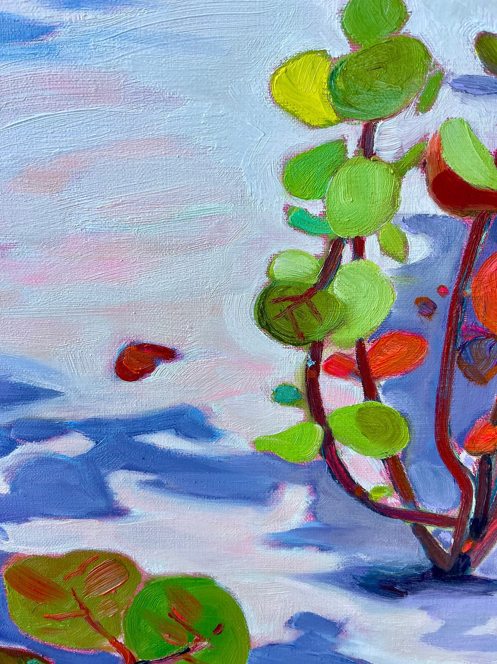 Thumbnail: 3rd Ave N sea-grapes, naples fl