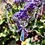 Thumbnail: Floral Opal Choker Necklace 
