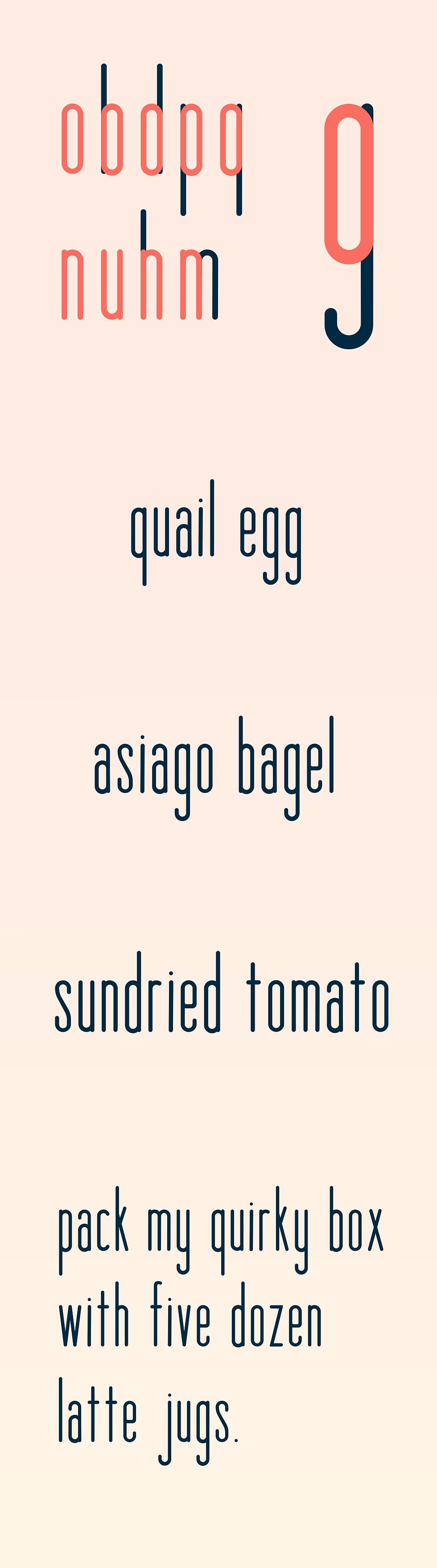 Sugar_Type Specimens_Web-01.jpg