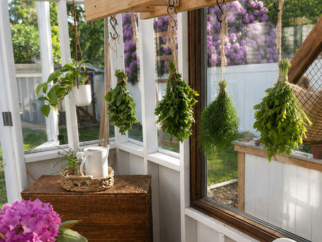 The 5 Herbs I Grow Every Year (And Why)