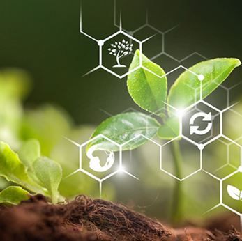 AI implementation in Indian Agriculture