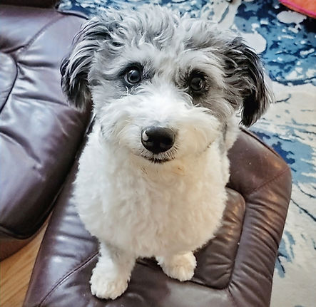 20221201_215634_edited_edited_edited_edi