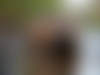 Busy Beavers: Nature’s Master Builders