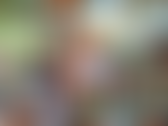 SINDIRECICLA-RN promove ação social com crianças da comunidade indígena Catu