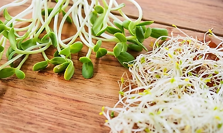 Captura de tela 2025-09-26 152258.png