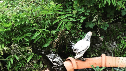 5E6D502D-CAAD-4D26-8080-F5A97F325DF1 2.JPG