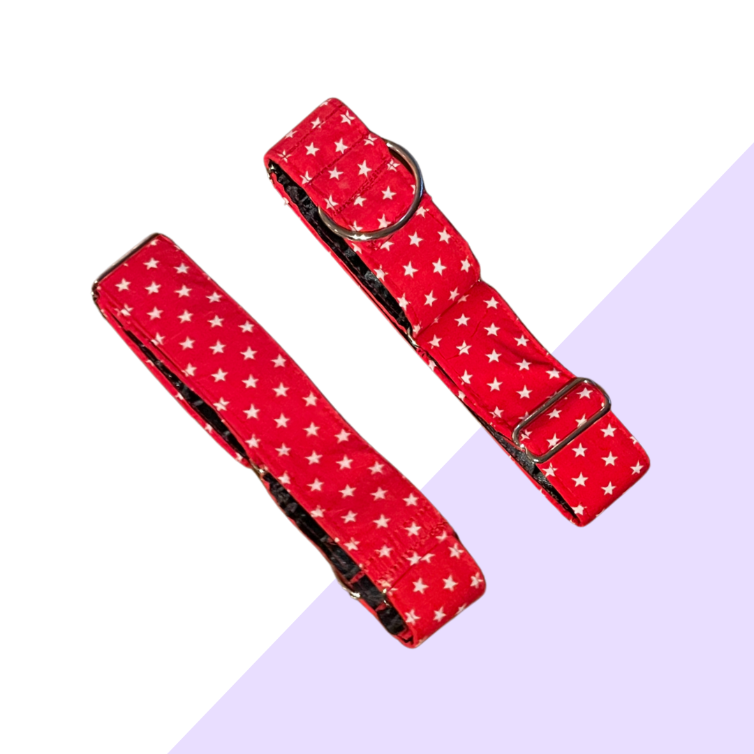 2" Martingale Starstruck